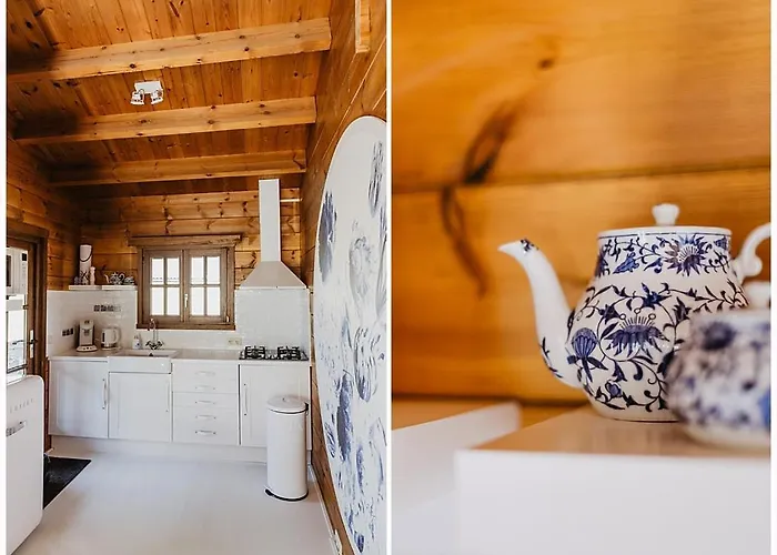 Dom wakacyjny Holland Ermelo