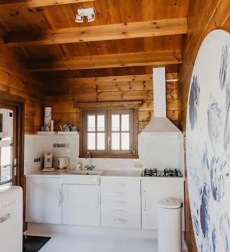 Dom wakacyjny Holland *